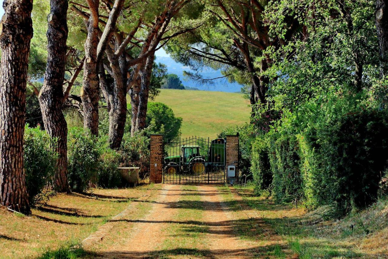 Villa L'oasi Di Baal Roma